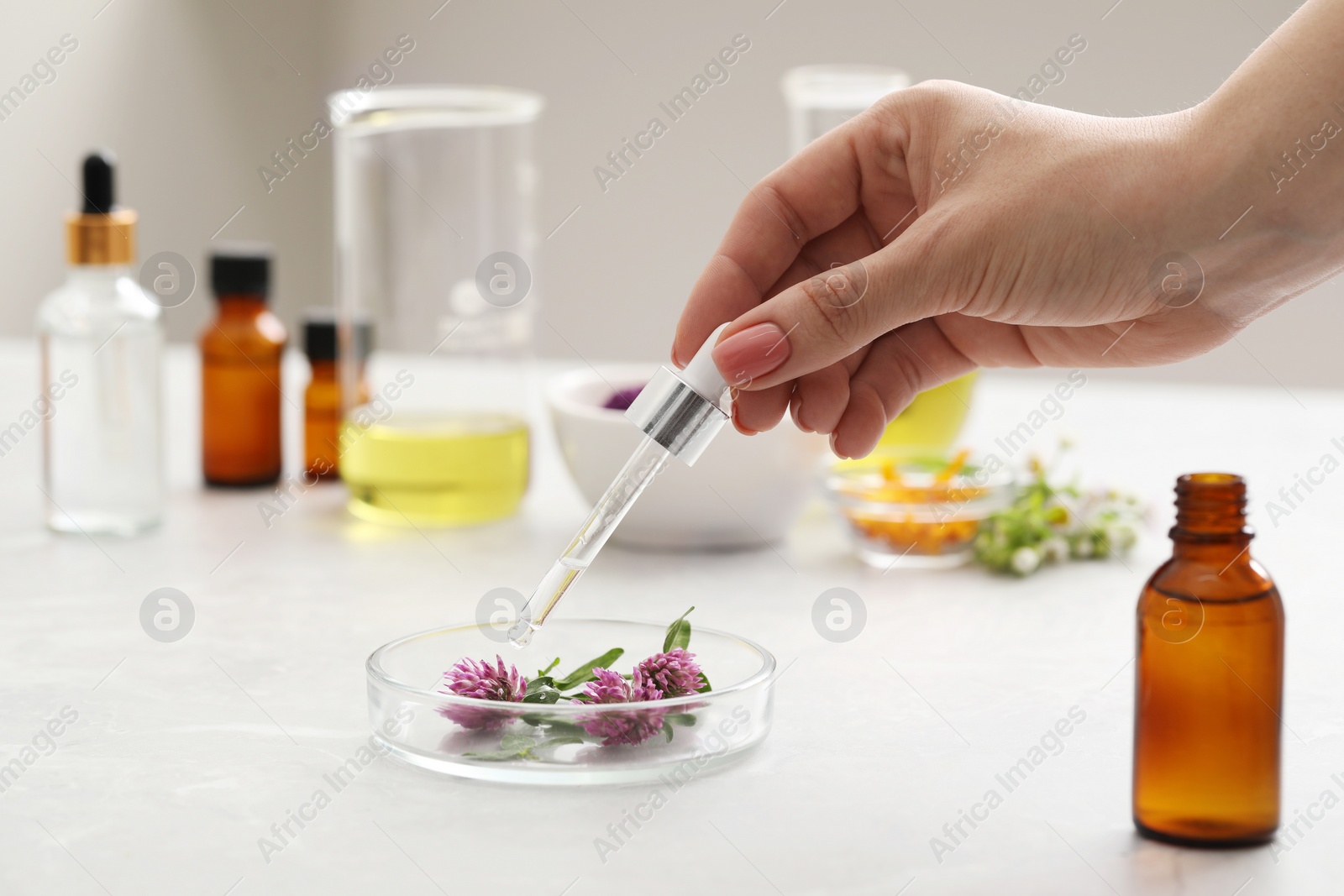 Photo of Scientist developing cosmetic oil at light grey table, closeup