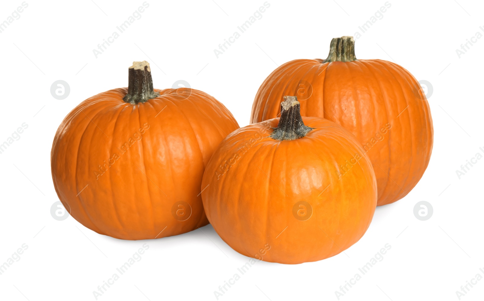 Photo of Fresh ripe pumpkins isolated on white. Organic plant