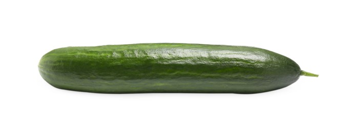 Photo of One long fresh cucumber isolated on white