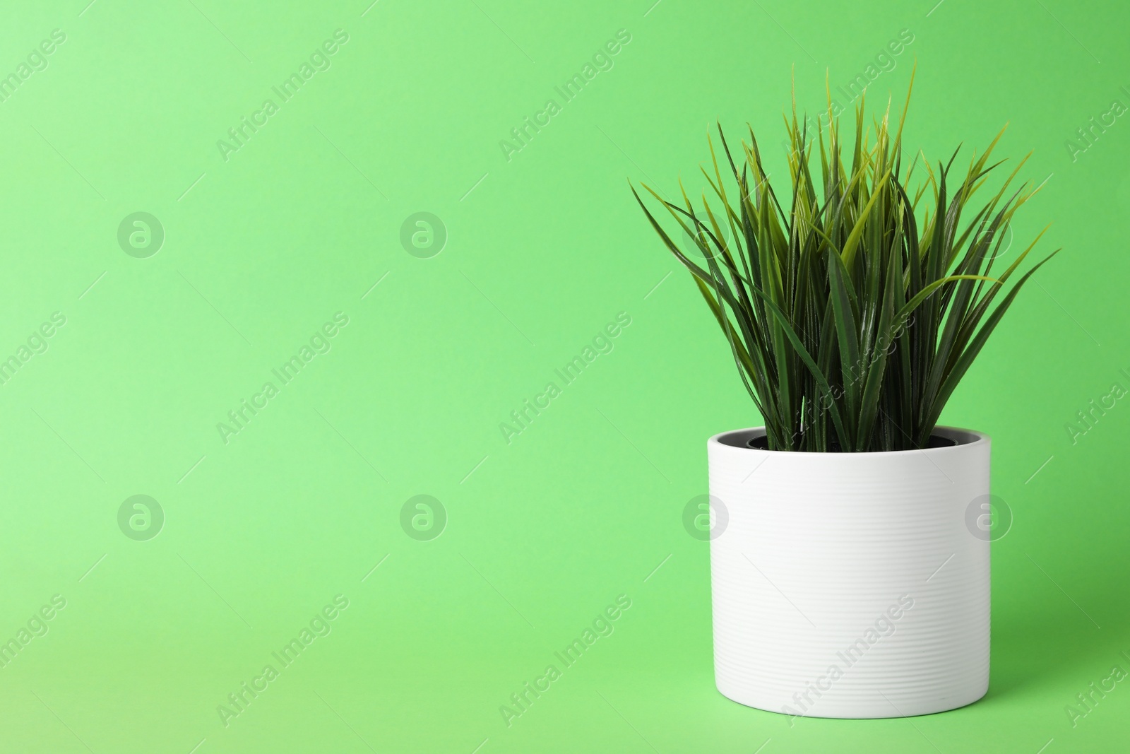 Photo of Beautiful artificial plant in flower pot on green background, space for text