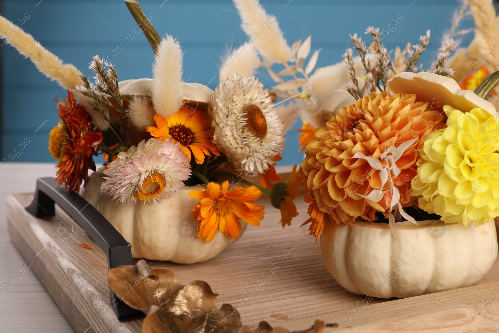 Photo of Composition with small pumpkins, beautiful flowers and spikelets on table, closeup