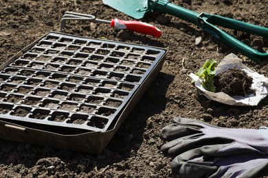 Photo of Gardening tools, seed box and strawberry plant on soil