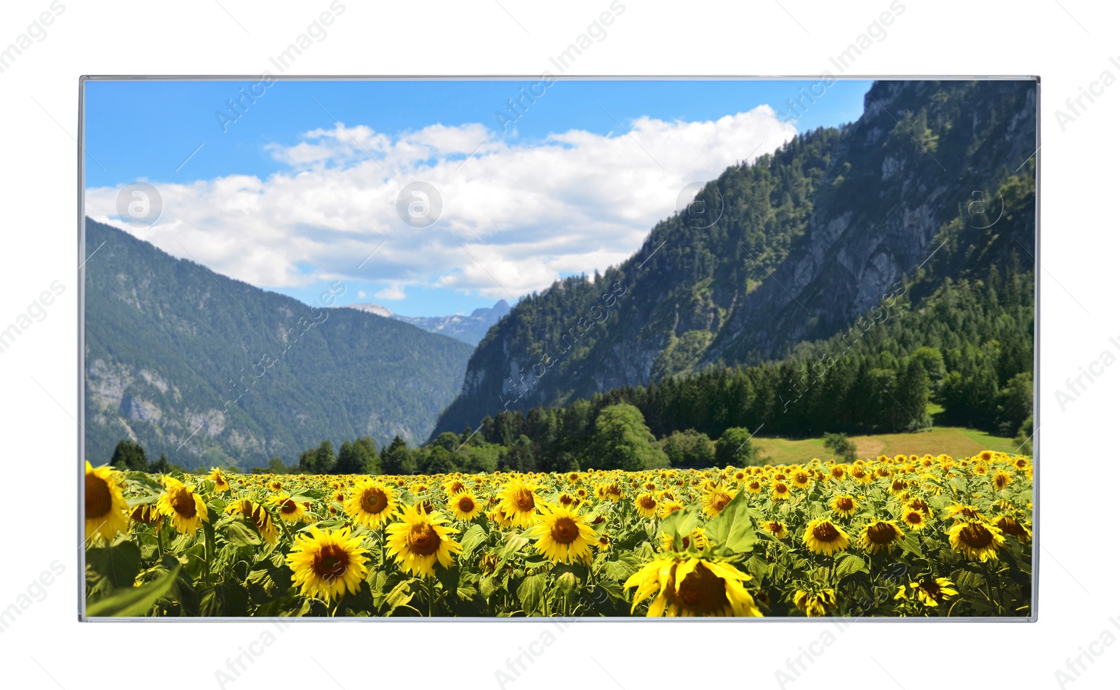 Image of Modern wide screen TV monitor showing mountain landscape, isolated on white