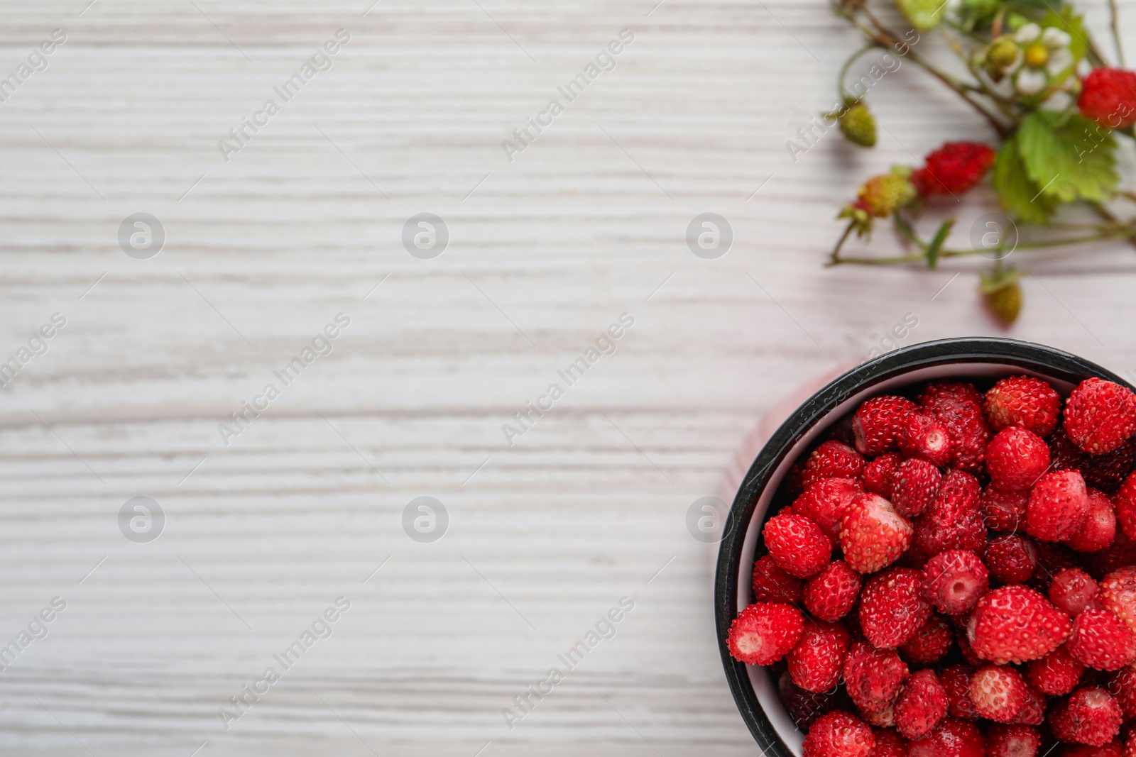 Photo of Fresh wild strawberries in mug near stems with flowers and leaves on white wooden table, flat lay. Space for text