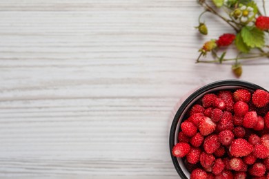 Fresh wild strawberries in mug near stems with flowers and leaves on white wooden table, flat lay. Space for text