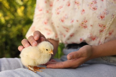 Woman with cute chick outdoors, selective focus. Baby animal