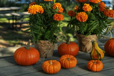 Photo of Many whole ripe pumpkins and potted marigold flowers on wooden table outdoors