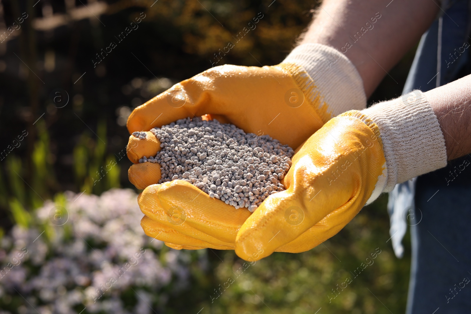 Photo of Man with fertilizer in hands outdoors, closeup