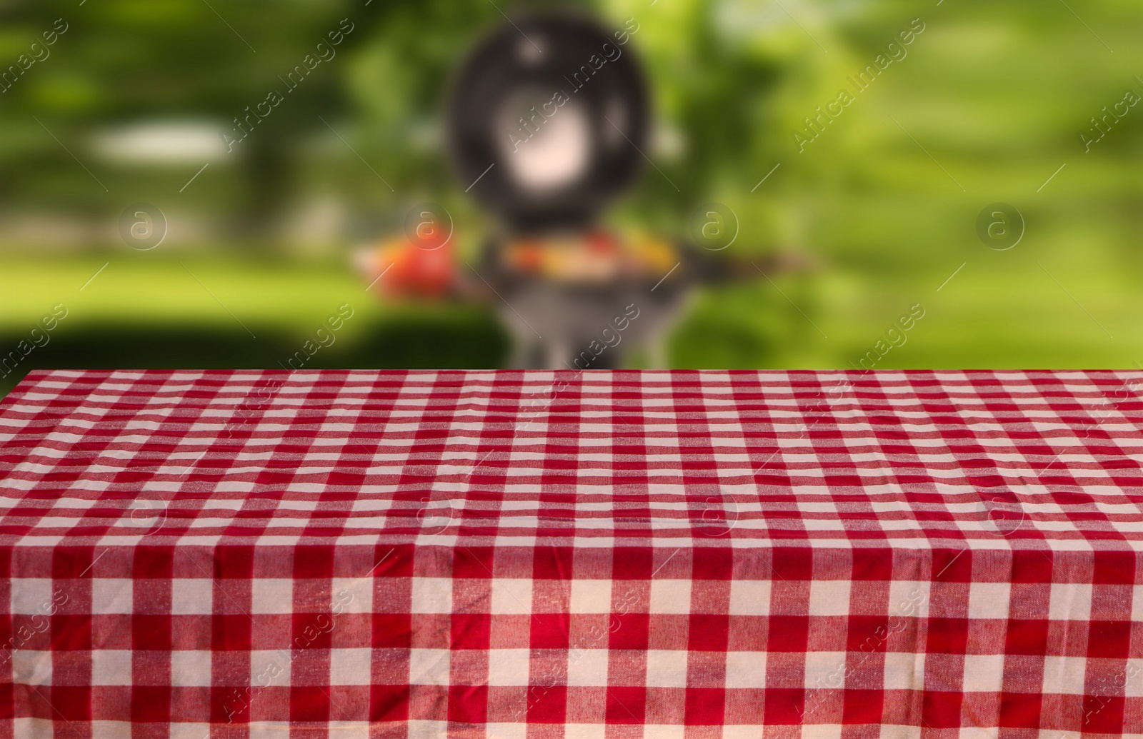 Image of Table with checkered picnic cloth outdoors on sunny day. Space for design