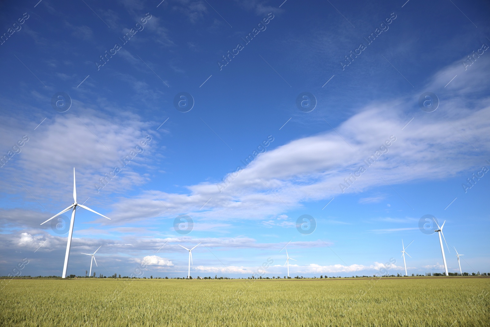 Photo of Beautiful view of field with wind turbines. Alternative energy source