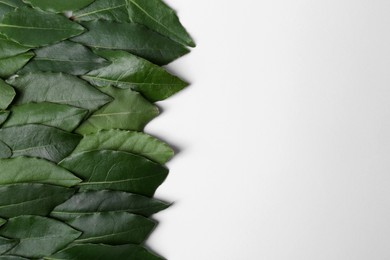 Many fresh bay leaves on white background, flat lay. Space for text