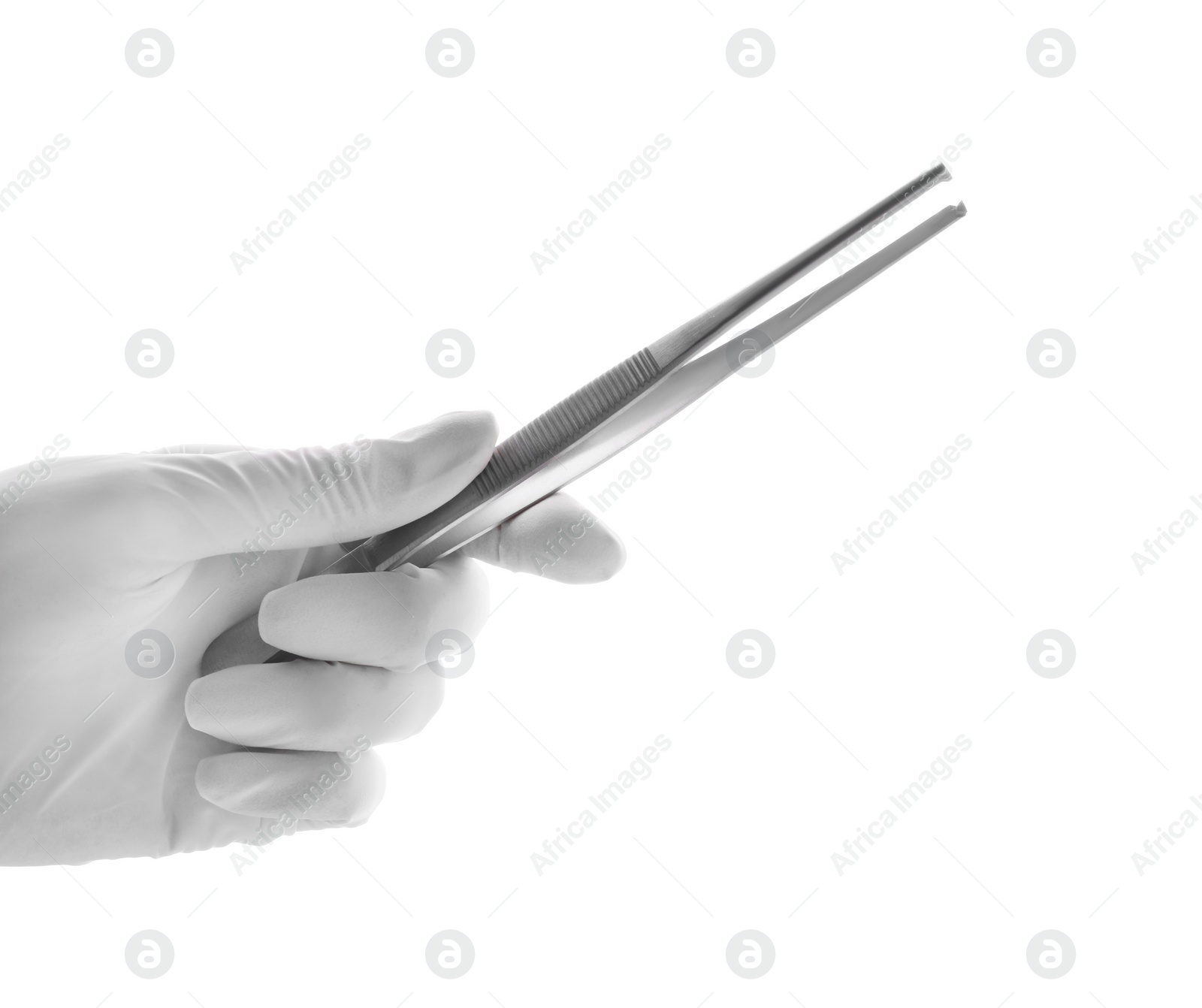 Photo of Doctor holding surgical forceps on white background, closeup. Medical instrument