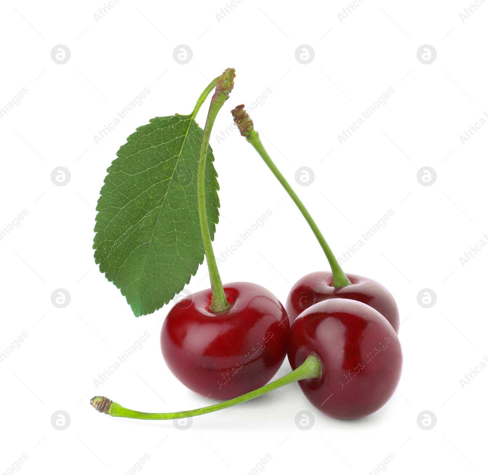 Photo of Sweet red juicy cherries isolated on white