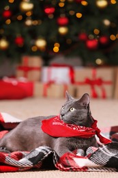 Photo of Cute cat wearing bandana on plaid in room decorated for Christmas