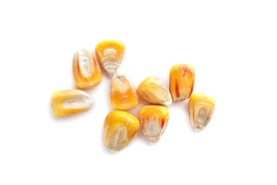 Photo of Dried corn kernels on white background, top view