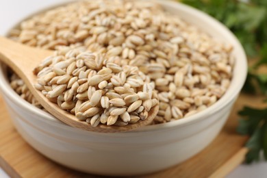 Photo of Dry pearl barley in bowl and spoon on table, closeup