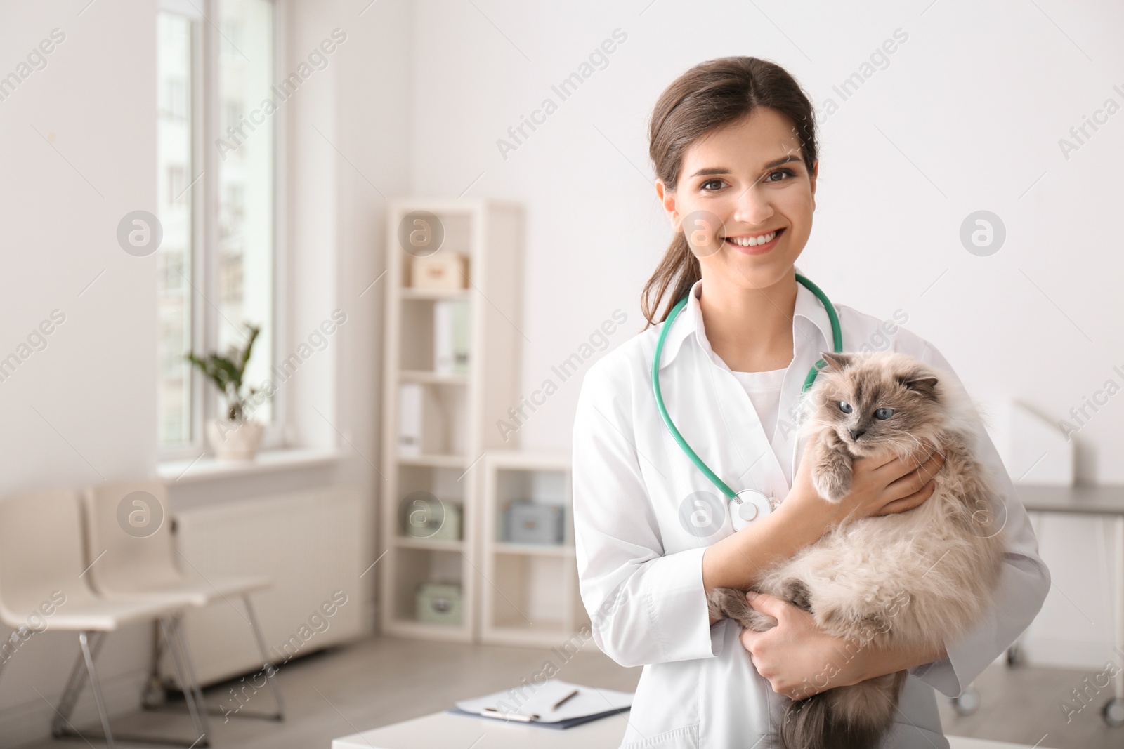 Photo of Young veterinarian holding cat in clinic