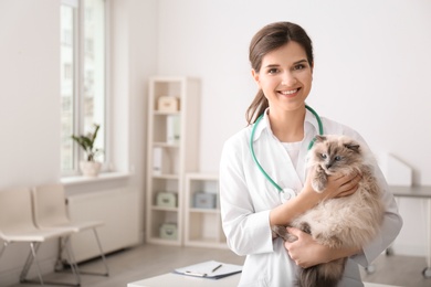 Photo of Young veterinarian holding cat in clinic