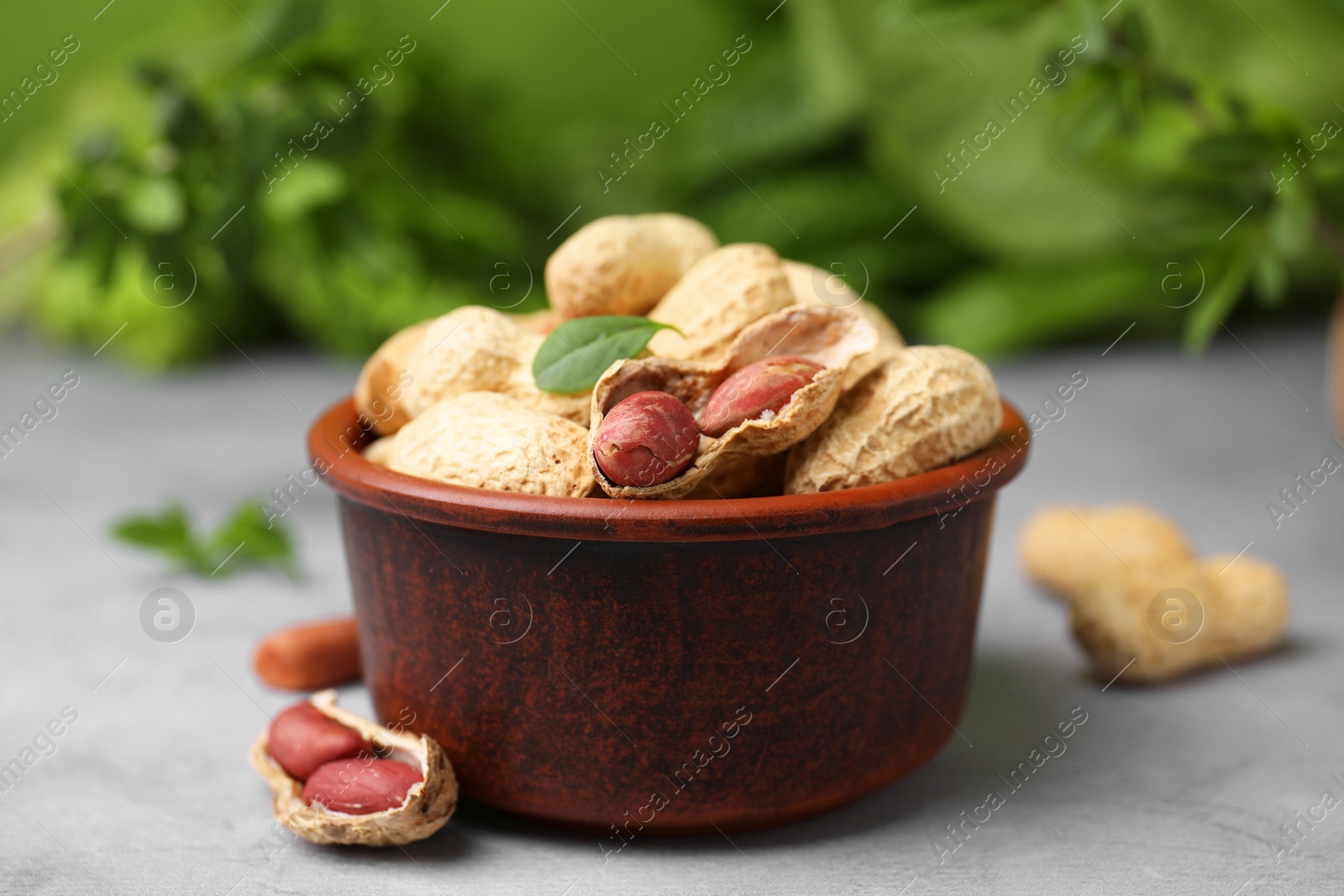 Photo of Fresh unpeeled peanuts in bowl on grey table against blurred green background, closeup