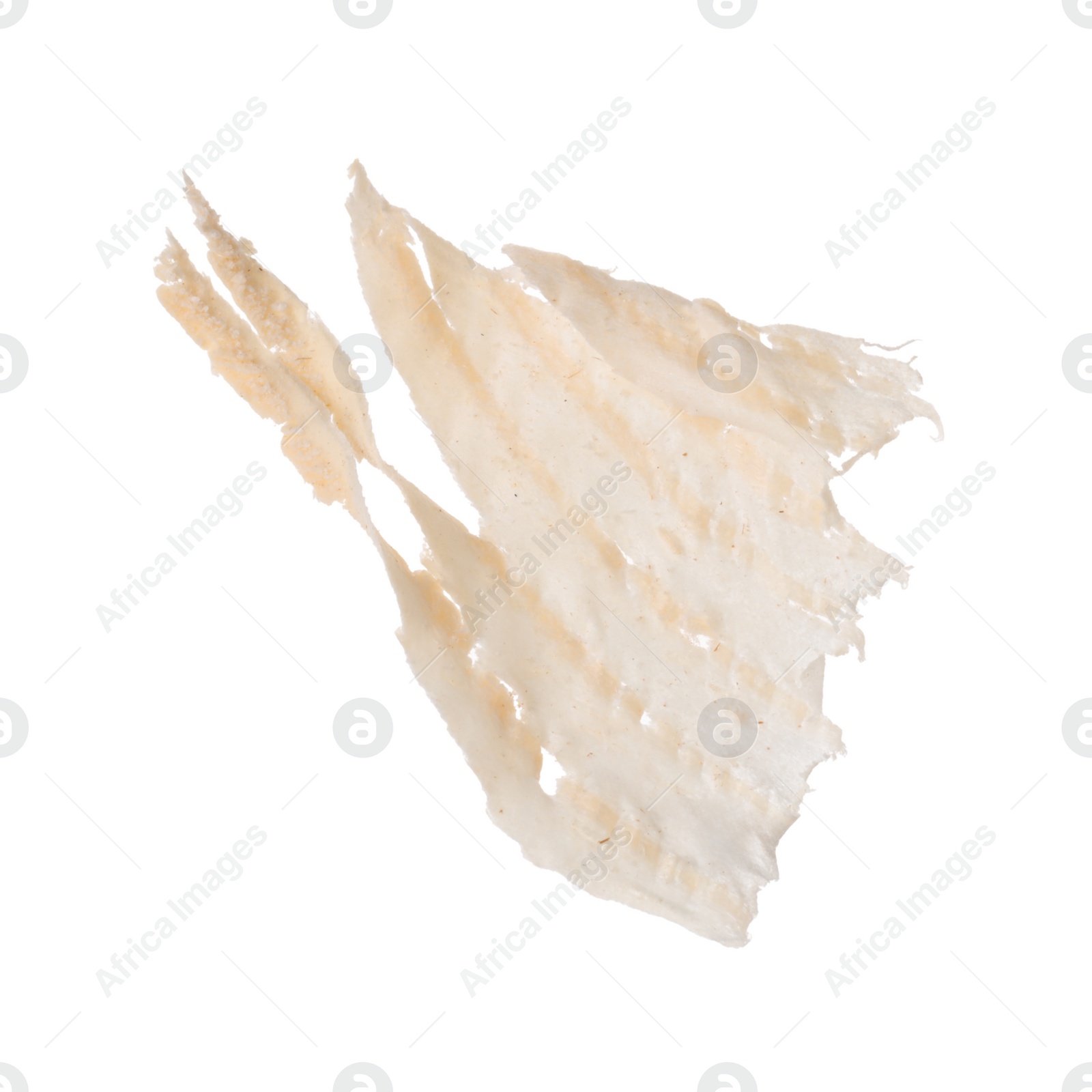 Photo of One chip of wood isolated on white