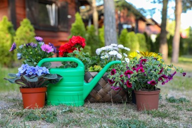 Photo of Beautiful blooming flowers and watering can on green grass in garden