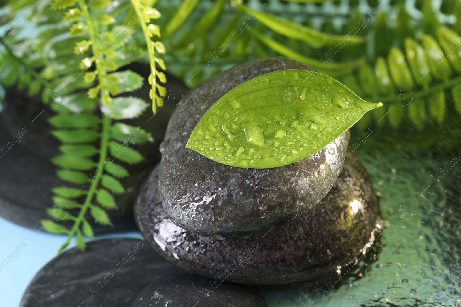 Photo of Wet spa stones and green leaf in water on light blue background