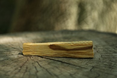Photo of Palo santo stick on wooden stump outdoors, closeup