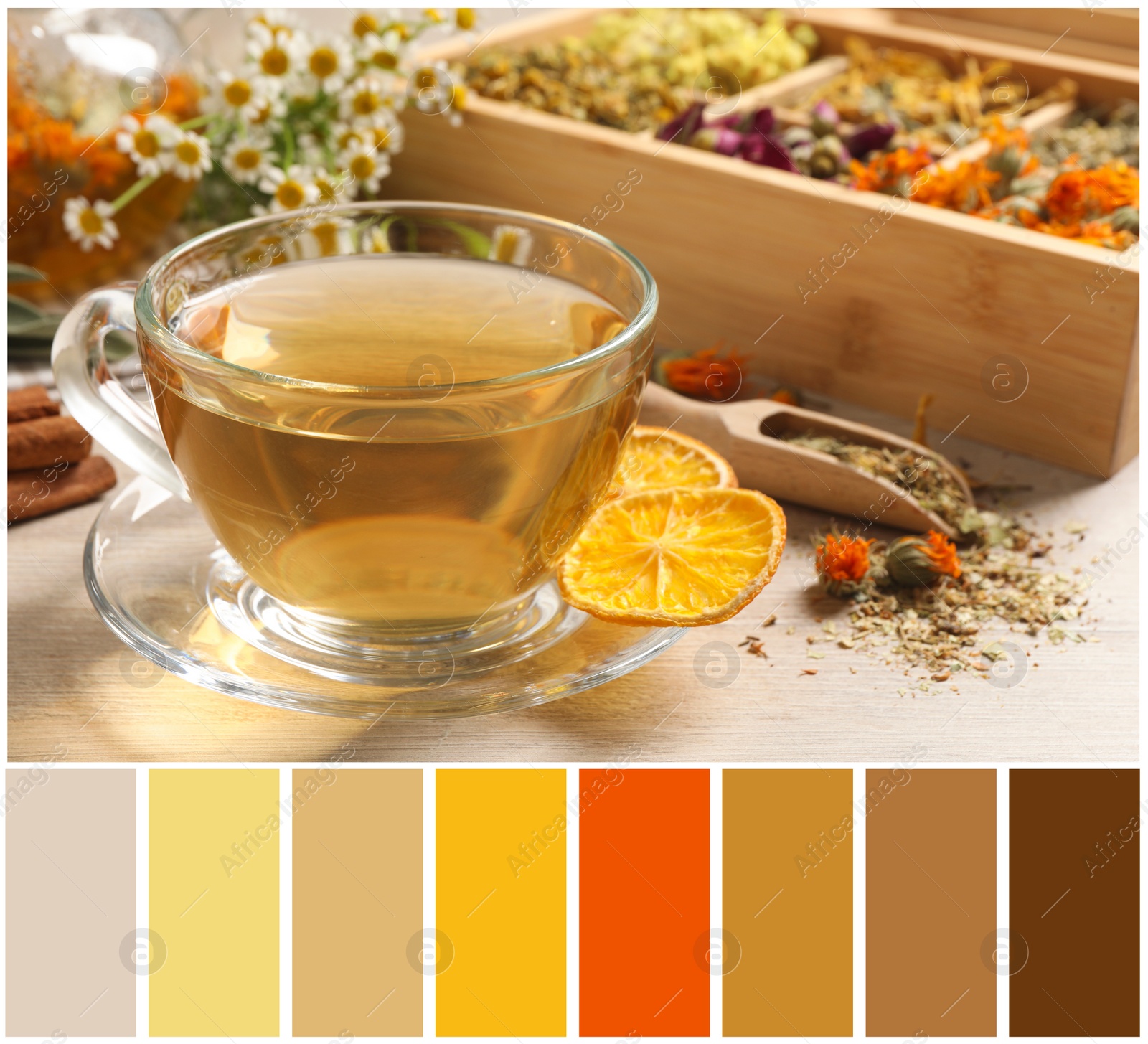 Image of Freshly brewed tea and dried herbs on white wooden table and color palette. Collage