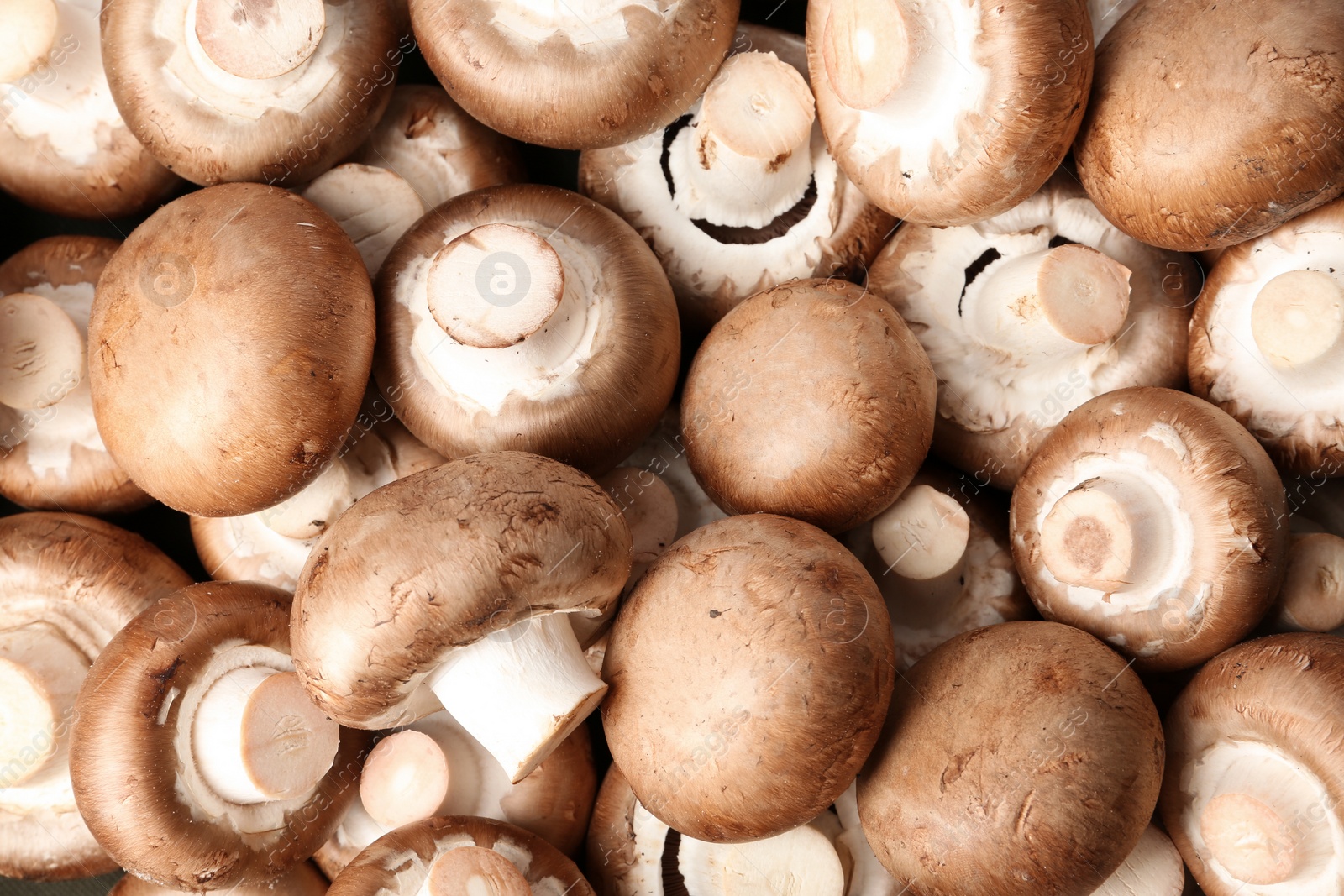 Photo of Fresh champignon mushrooms as background, top view