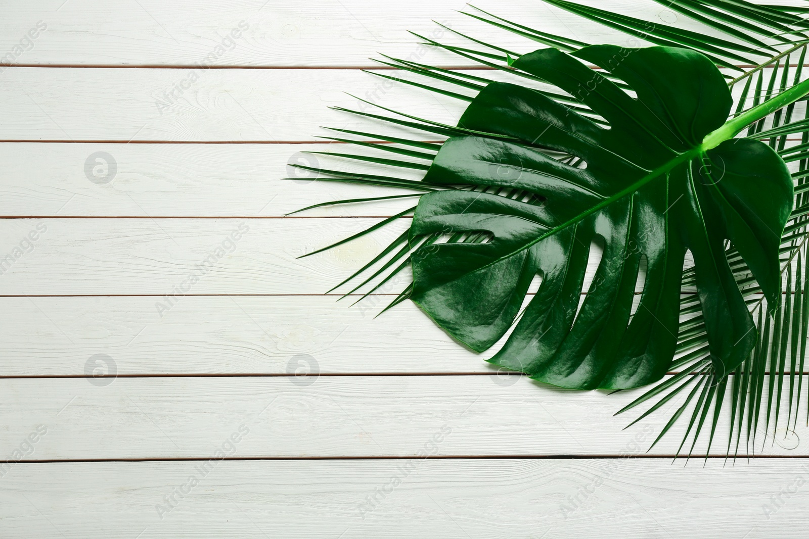 Photo of Beautiful monstera and palm leaves on white wooden background, flat lay with space for text. Tropical plants