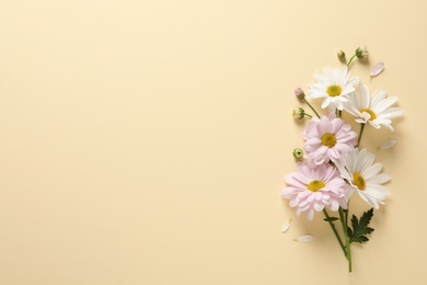 Beautiful chamomile flowers on color background, flat lay with space for text