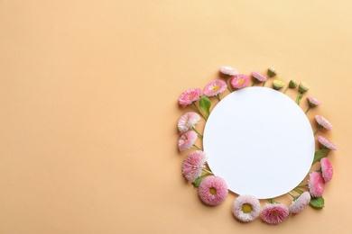 Photo of Flat lay composition with spring daisy flowers and card on color background. Space for text