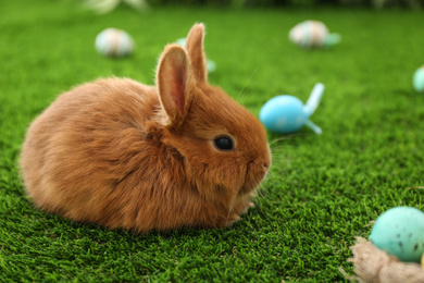 Adorable fluffy bunny and Easter eggs on green grass