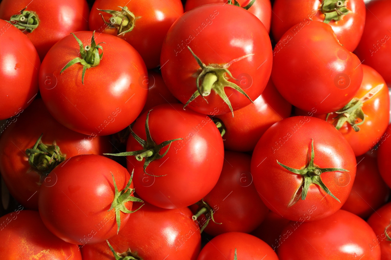 Photo of Fresh ripe red tomatoes as background, closeup