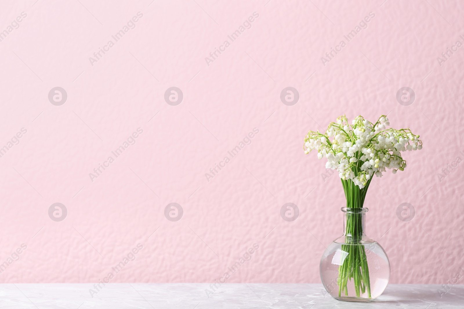 Photo of Beautiful lily of the valley bouquet in vase on table near color wall, space for text