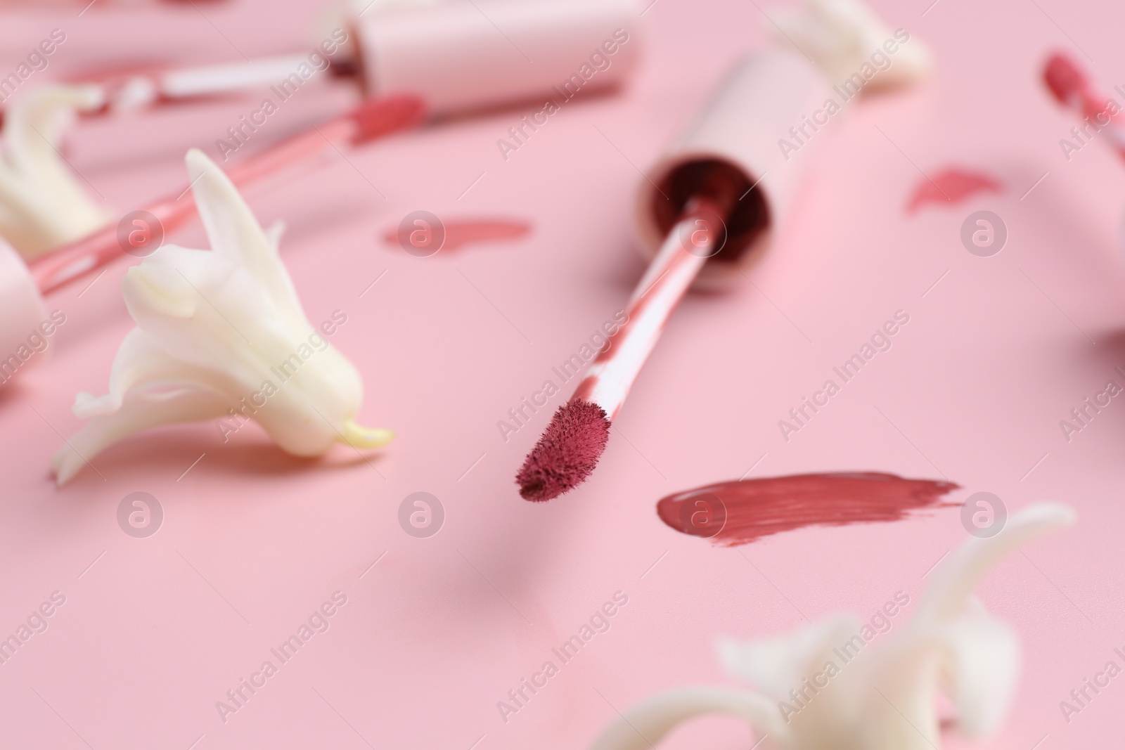 Photo of Color lip glosses, applicators and flowers on pink background, closeup