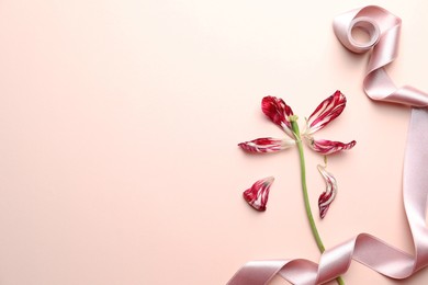 Photo of Red tulip and pink ribbon on beige background, flat lay with space for text. Menopause concept
