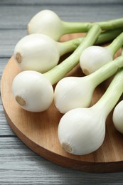 Photo of Tray with green spring onions on grey wooden table, closeup