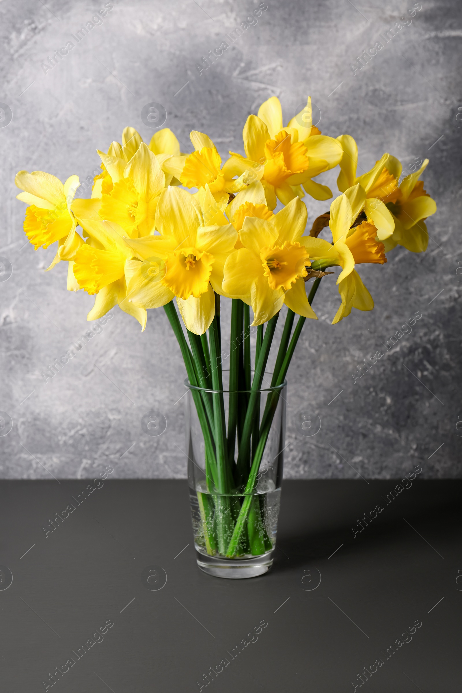 Photo of Bouquet of beautiful yellow daffodils in vase on grey wooden table