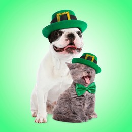 St. Patrick's day celebration. Cute dog and cat with leprechaun hats on green background