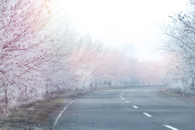 Photo of Empty road between trees covered with hoarfrost at rural site in early winter morning