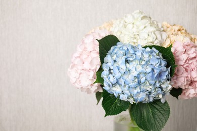 Photo of Beautiful hydrangea flowers in vase near light gray wall, closeup. Space for text