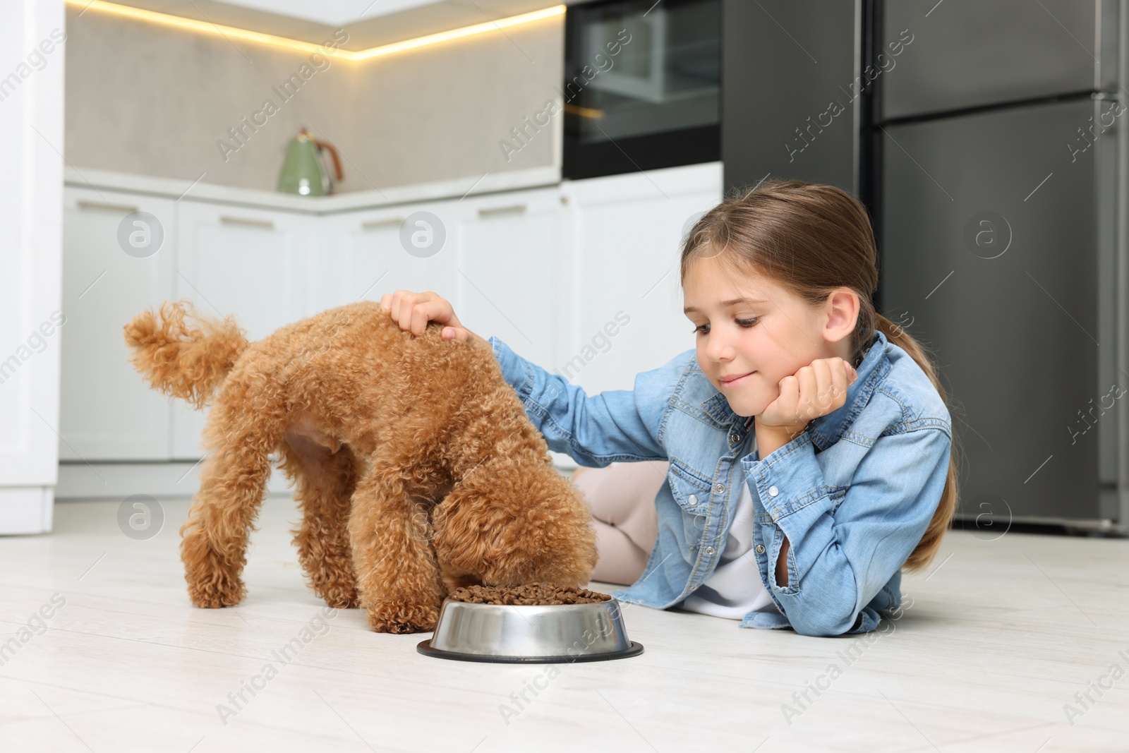 Photo of Little child feeding cute puppy in kitchen. Lovely pet