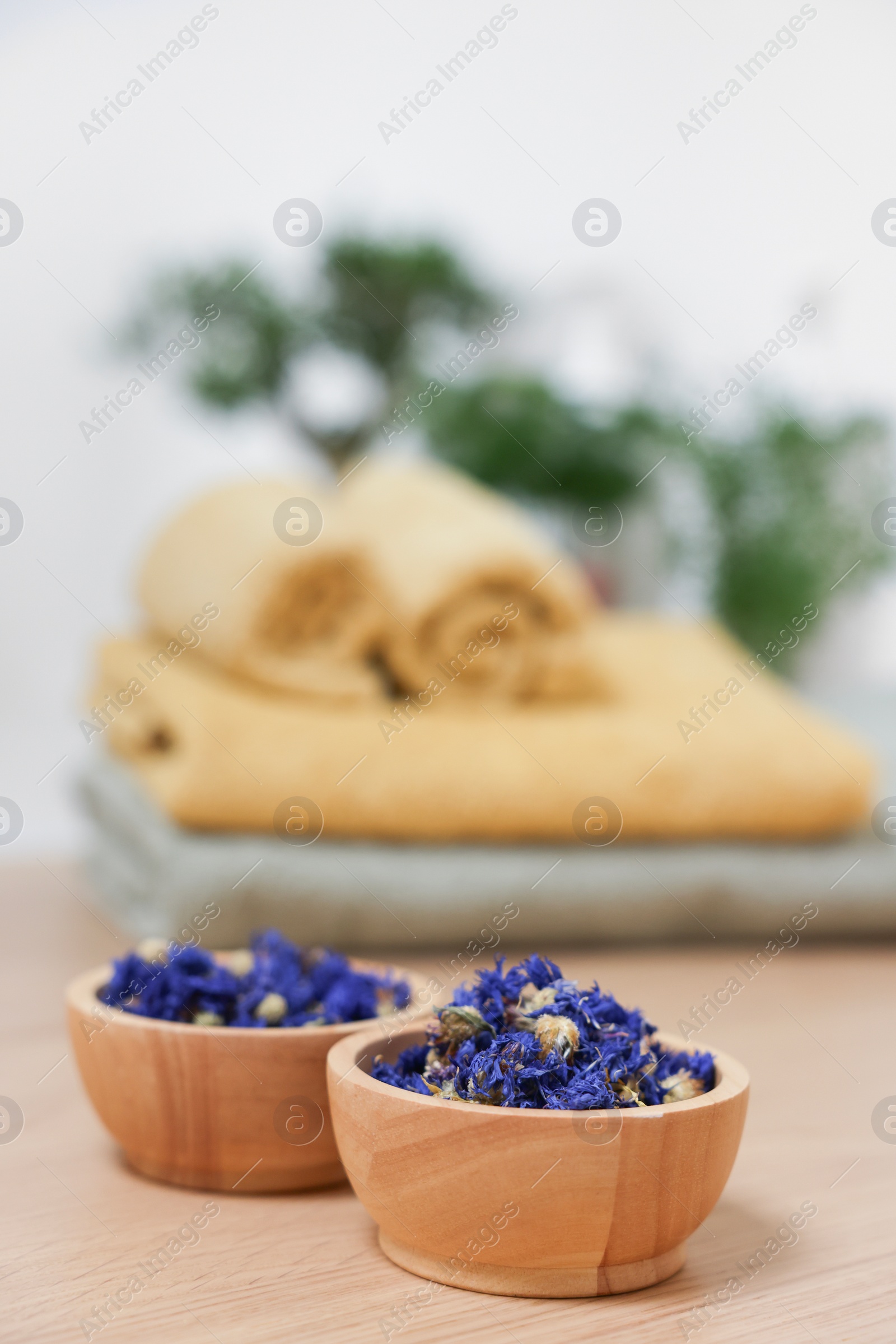 Photo of Bowls with dry flowers on light wooden table, space for text. Spa