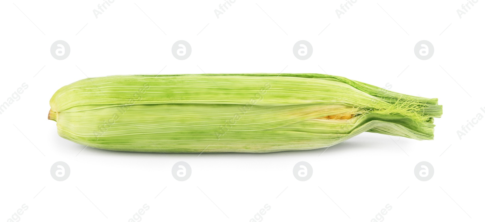 Photo of Ripe raw corn cob with husk isolated on white