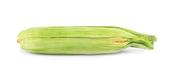 Photo of Ripe raw corn cob with husk isolated on white