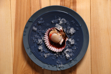 Shell with fresh scallop and ice on wooden table, top view