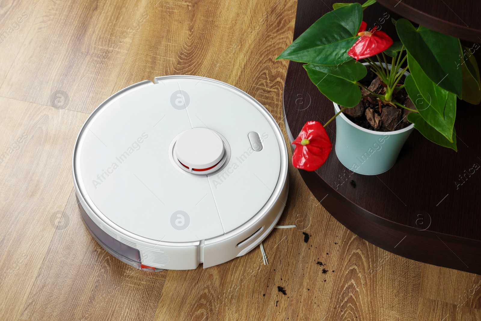 Photo of Robotic vacuum cleaner soil from wooden floor indoors