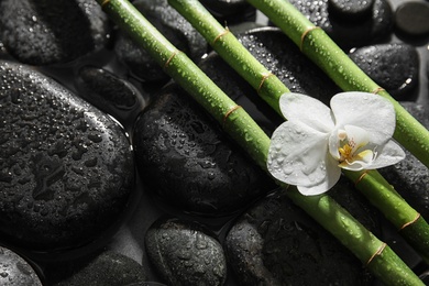 Photo of Bamboo branches, orchid and spa stones in water. Space for text