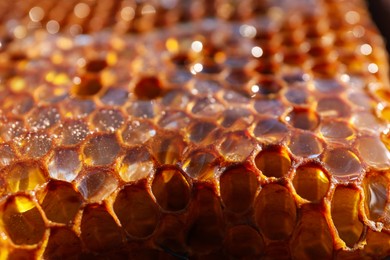 Photo of Uncapped filled honeycomb as background, closeup view